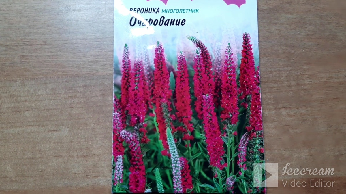 Вероника Очарование.