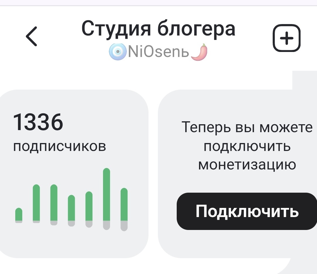 По фото видно, что монетизация не подключена