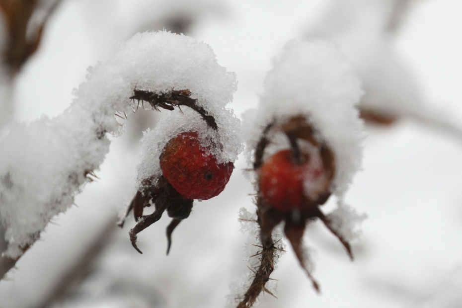    Сергей Булкин/NEWS.ru