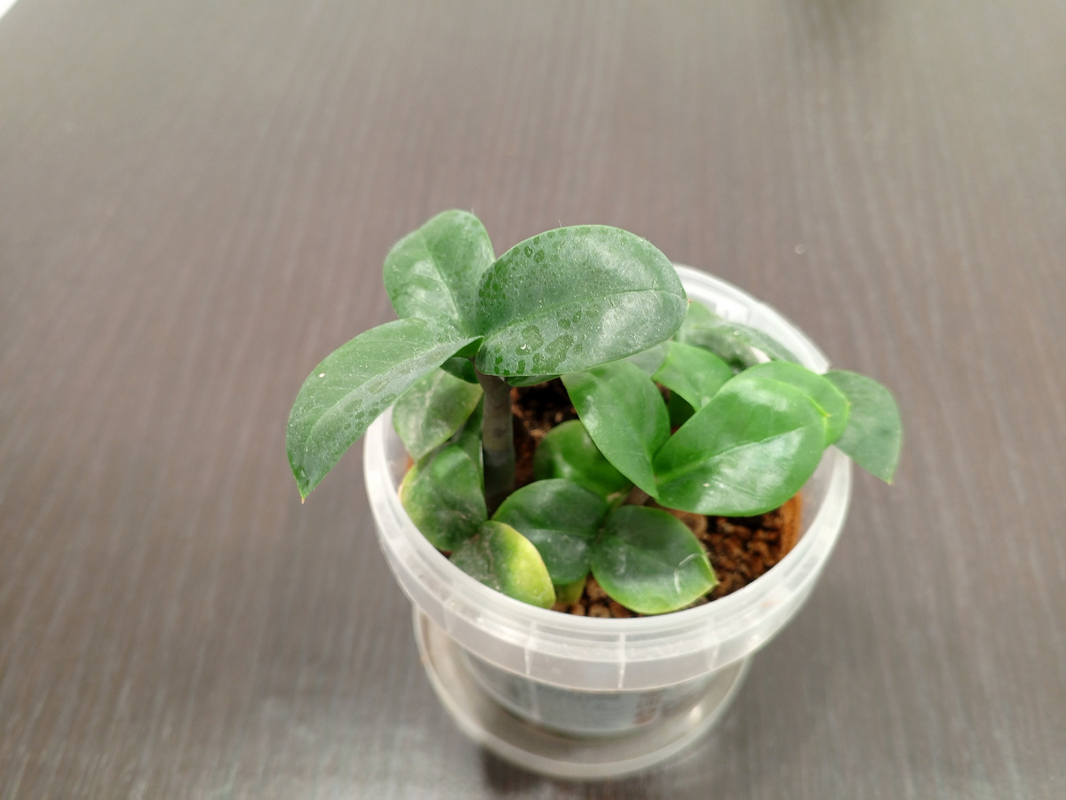 Вот в таком виде они у меня и стоят бедолаги 🫣