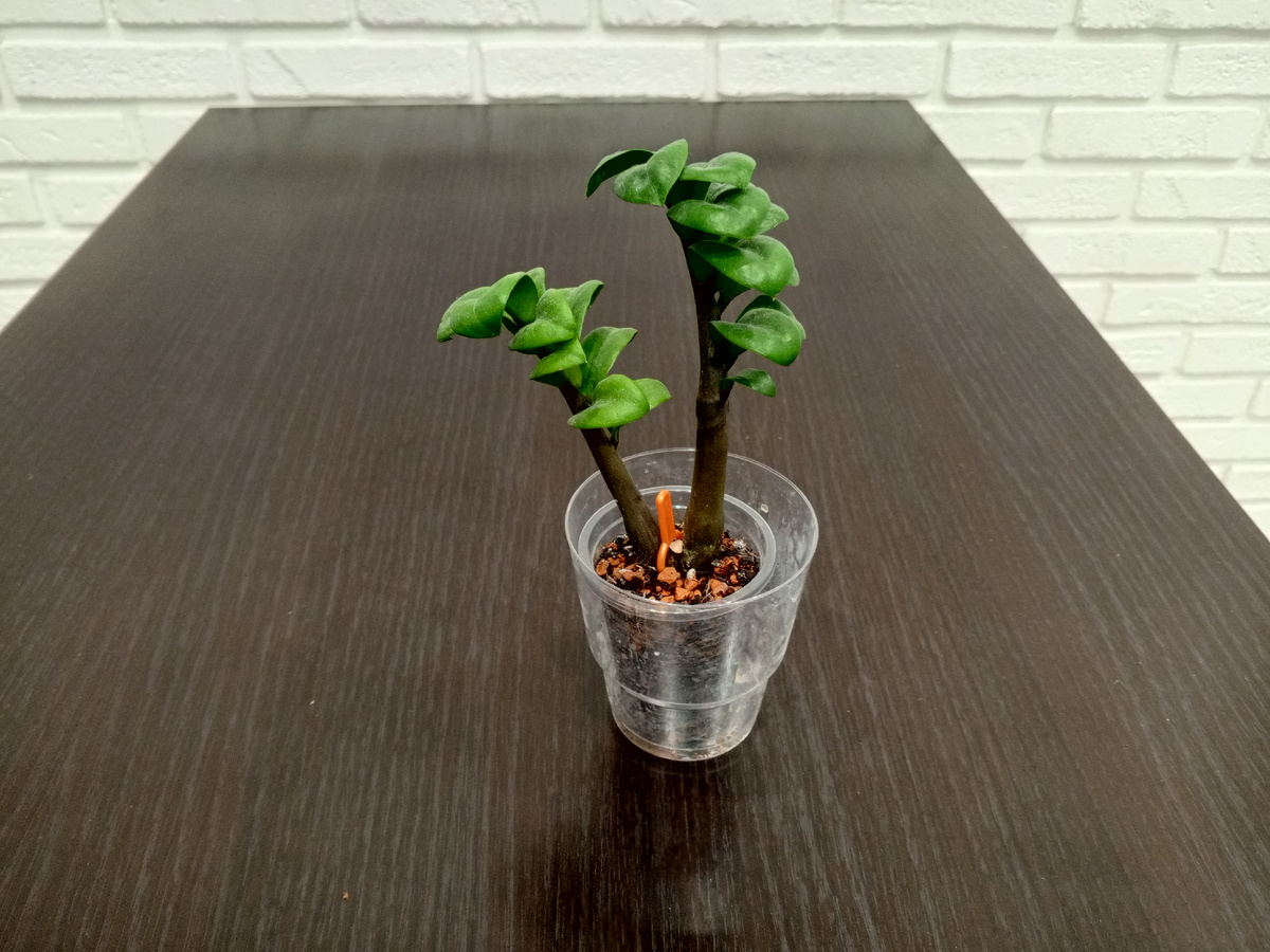 Вот как то так