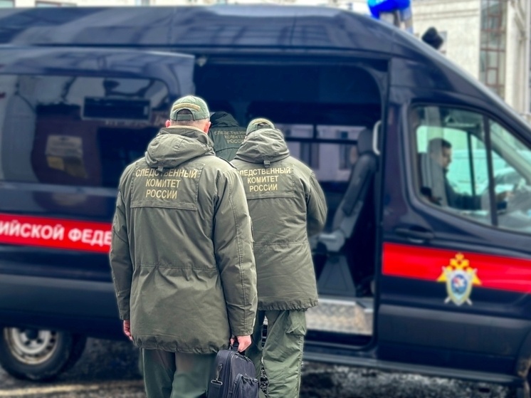     Фото пресс-службы регионального Следкома