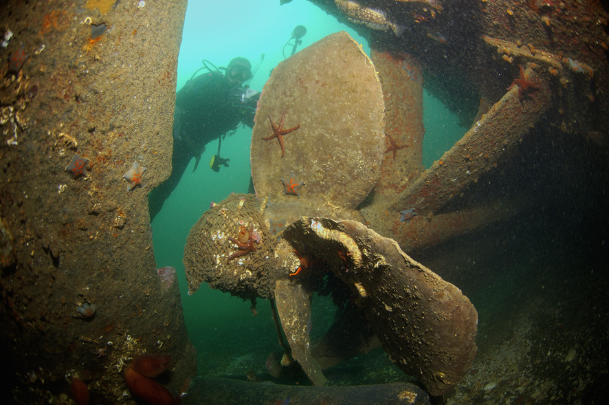 Останки научного судна "Кварц". Взято: https://asdiver.narod.ru/photo/ugprim/kvarts4.jpg