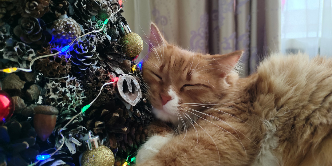 Как поддержать себя в трудные времена