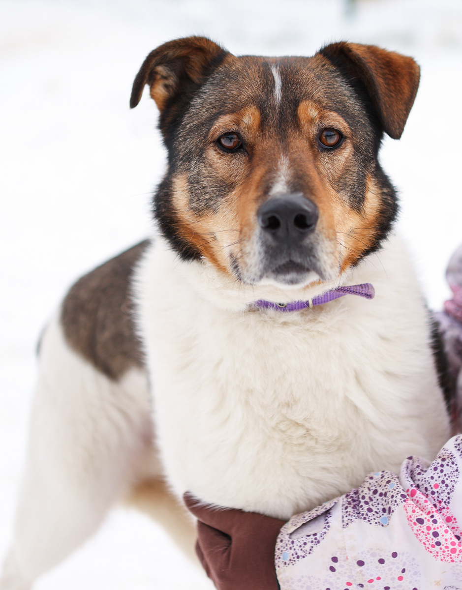 Не закрывайте сразу статью... Часто ангельская внешность не соответствует действительности