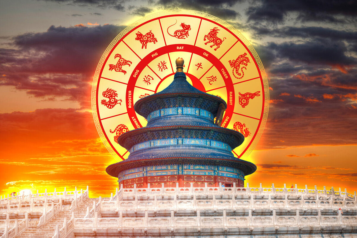     123RF/legion-media.ru. Коллаж: 7Дней.ru