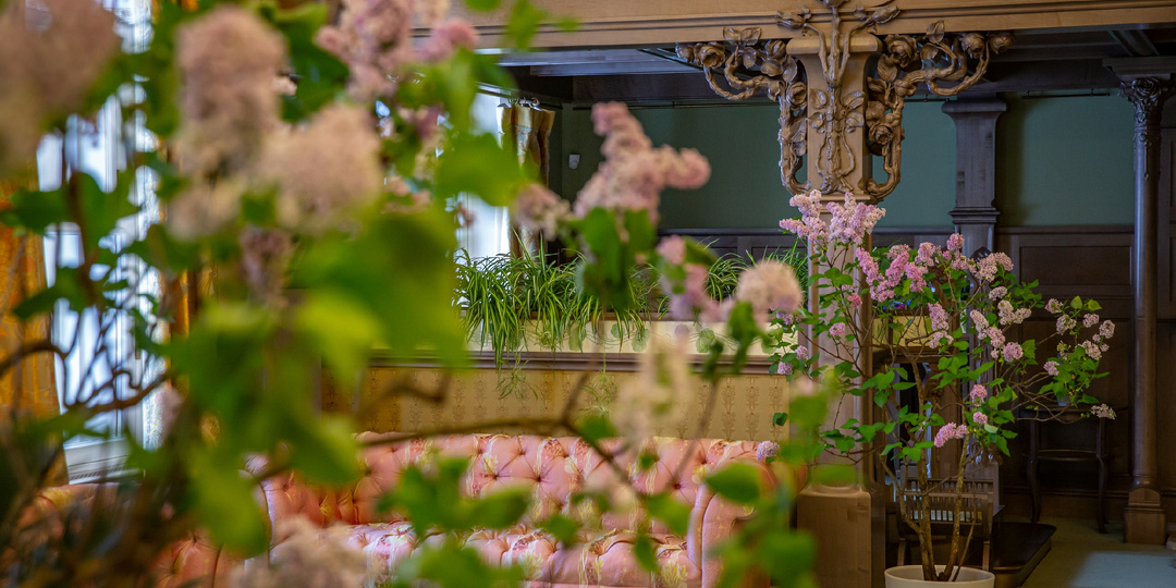 Александровский дворец: цветущая сирень в доме последнего Императора