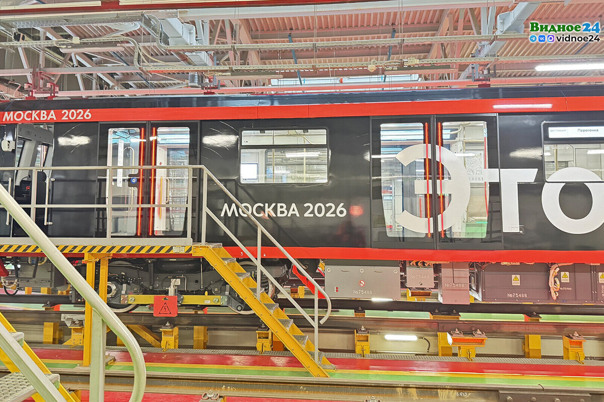 Фото: РМТМ | «Развитие Метрополитена и Транспорта Москвы»