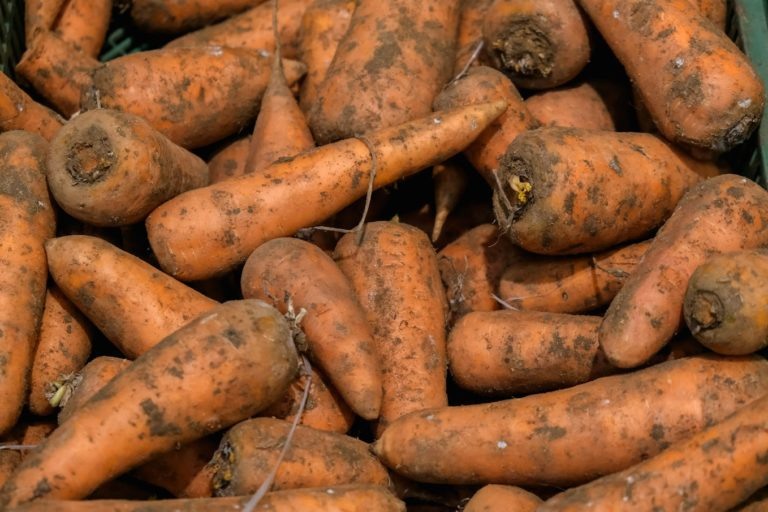 Из Волгоградской области на экспорт в Казахстан отправили 200 тонн овощей