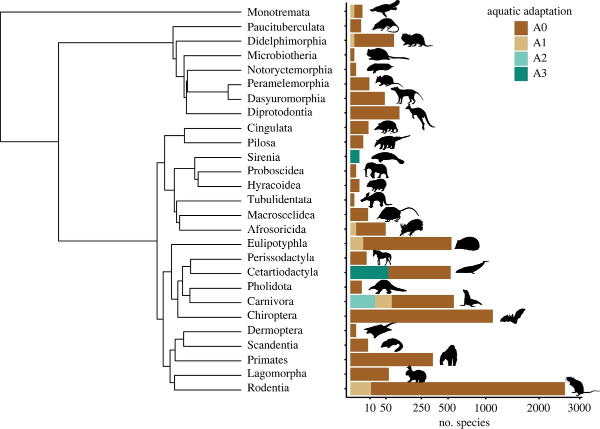 Шкала животных с адаптацией к морю