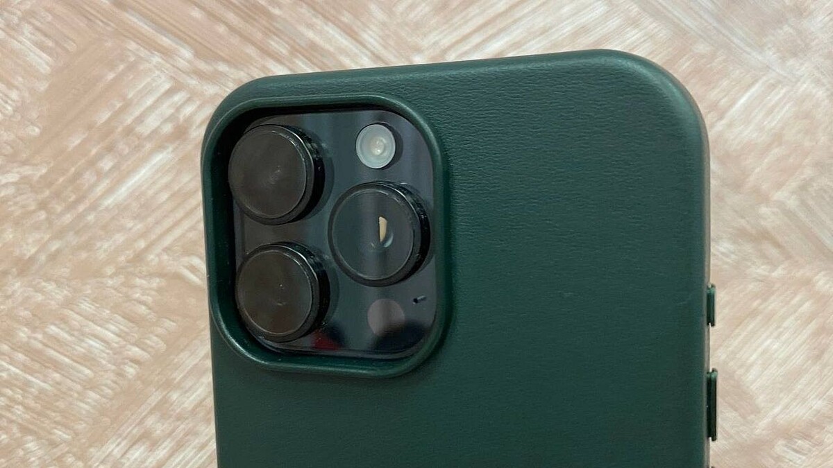    Фото: телеканал «Краснодар»