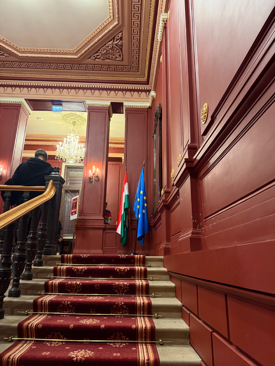 Парадная лестница особняка 