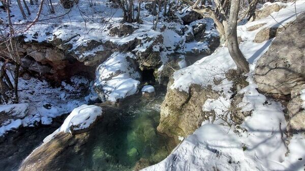    © РИА Новости Крым