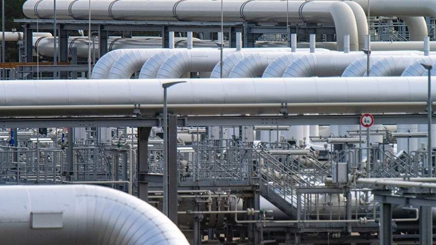    Фото: Global Look Press/Stefan Sauer