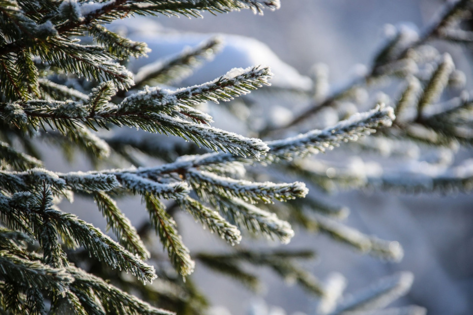    Сергей Лантюхов/NEWS.ru