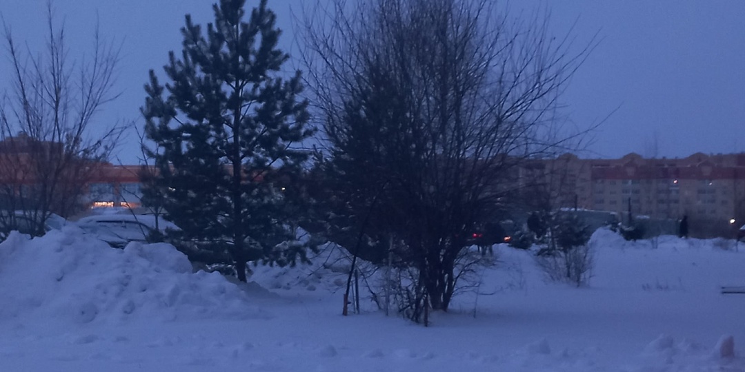 20.01.2026. Заметка о дне, который просто был