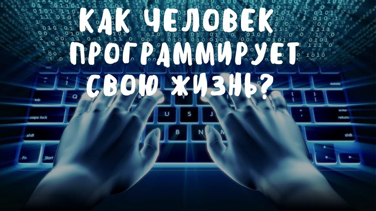 Картинка взята из открытых источников