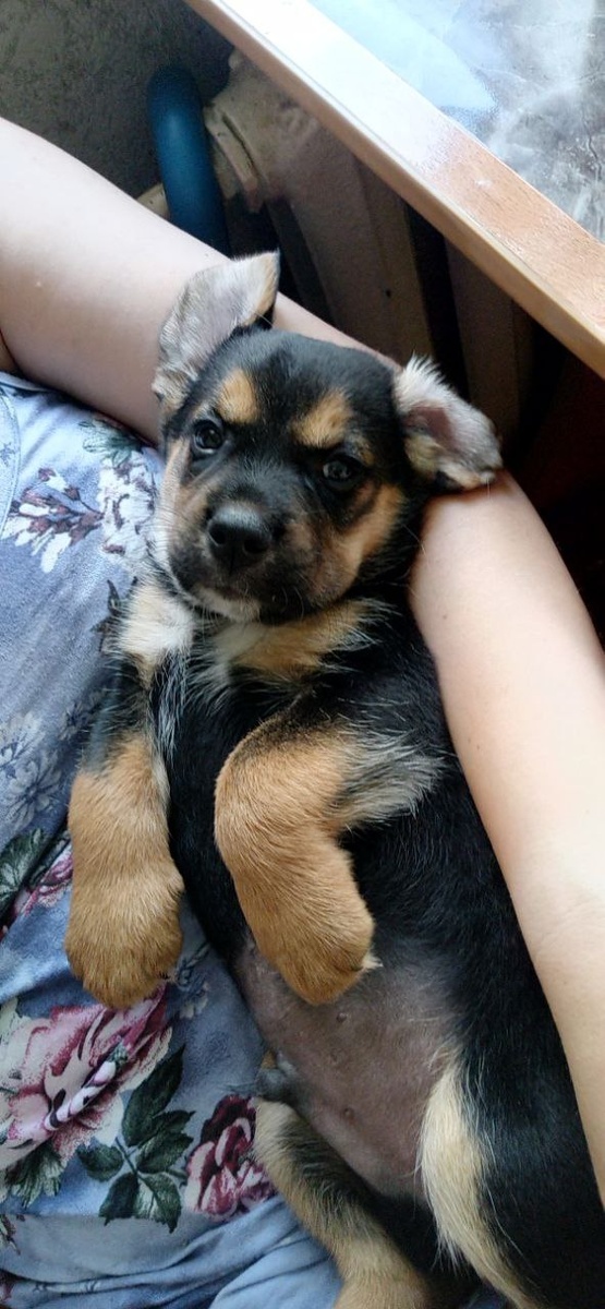 Маленький Жорик