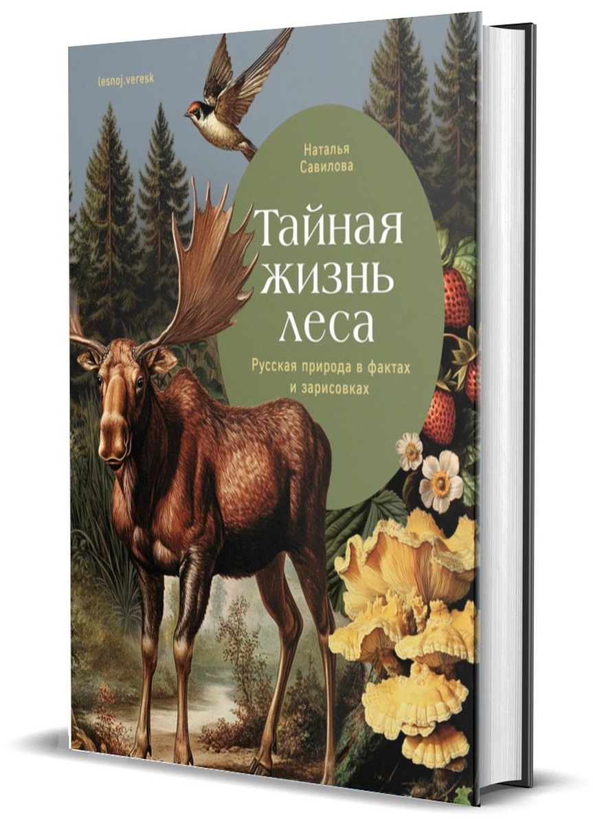    Найти книгу можно на shop.kp.ru