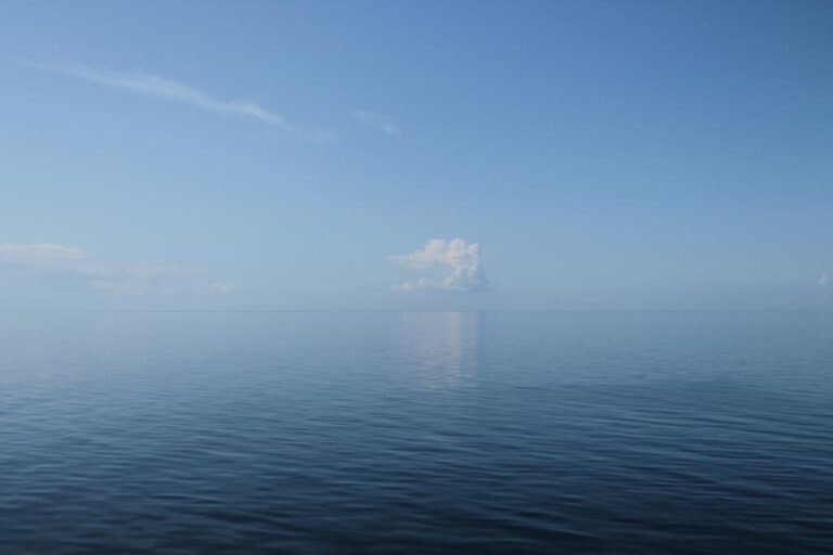    Фото: wiki commons/John Samuel/CC BY-SA 4.0 Анастасия Мишкина