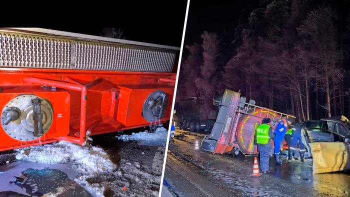 Обложка © Telegram / МЧС Ленинградской области