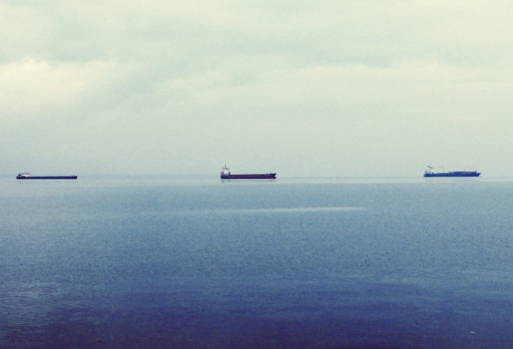 фото: pxhere.com