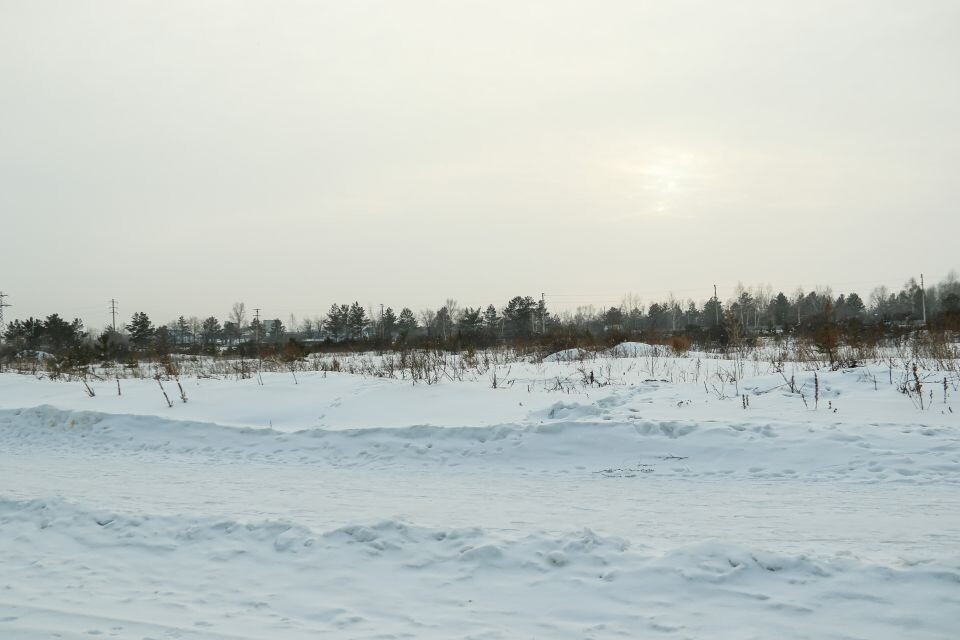    Участок квартала 2012 со стороны улицы Власихинской. Февраль 2024 года. Источник: Виталий Барабаш