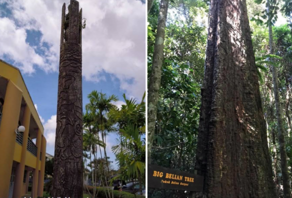 Это не изгибы коры, это выдолбленные рисунки