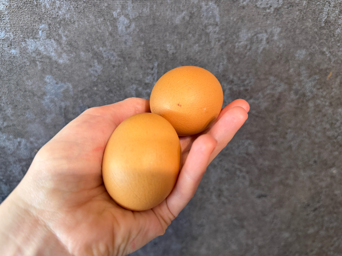 Желток яиц - один из продуктов-лидеров по содержанию холестерина. Фото автора