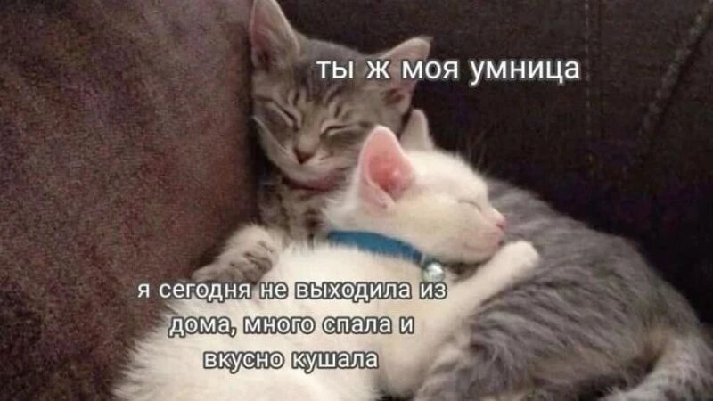     Мемы про объятия. Соцсети