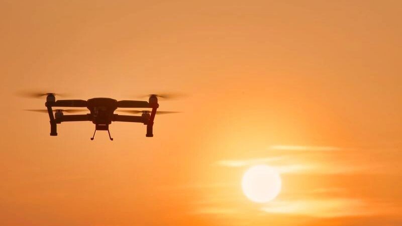    Фото: NERYXCOM/Shutterstock/Fotodom