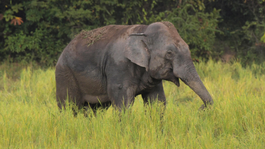    Фото: www.globallookpress.com/Javed Dar; 5-tv.ru