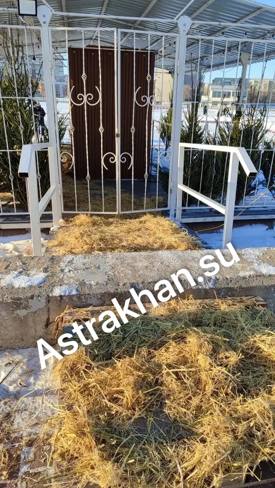 
📷
📷
📷
📷
📷
