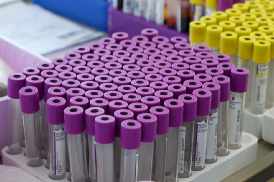    Наталья Шатохина/NEWS.ru