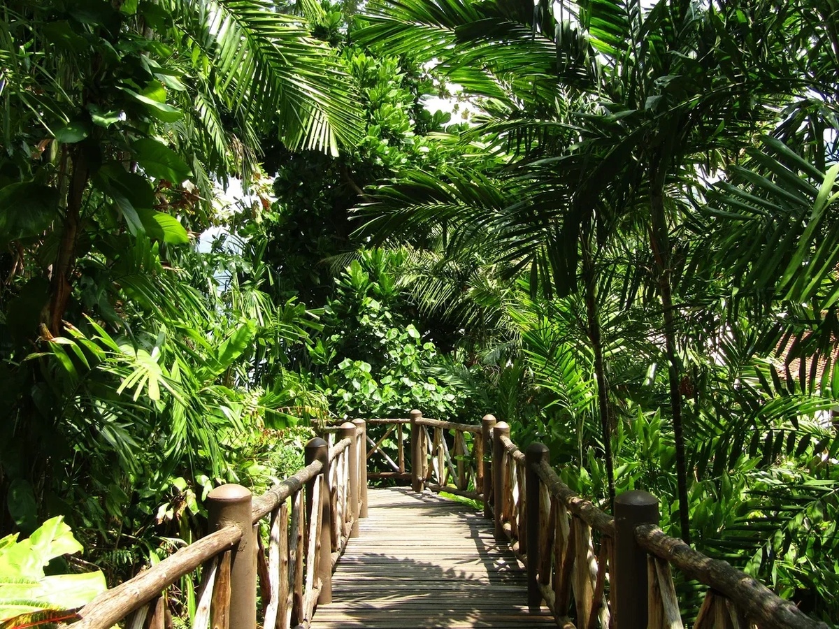 Территория отеля Marina Phuket Resort. Таиланд. Фото автора