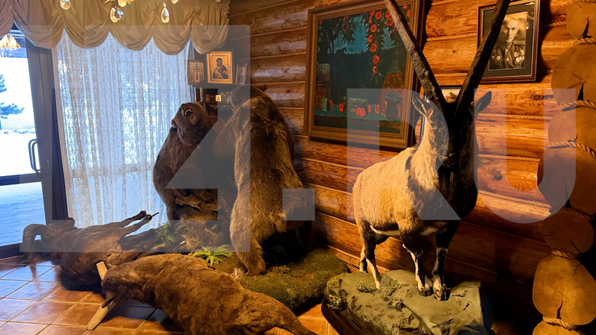    Фото: ИЗВЕСТИЯ; 5-tv.ru