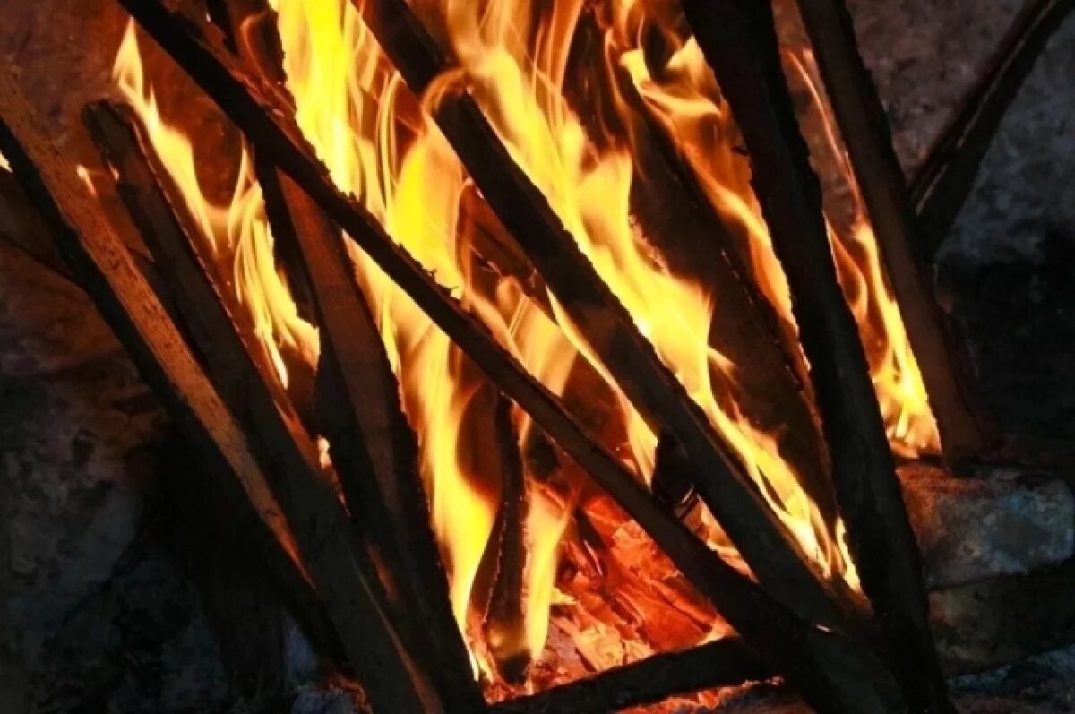    В Камне-на-Оби пожарные спасли жилой дом и гараж от огня