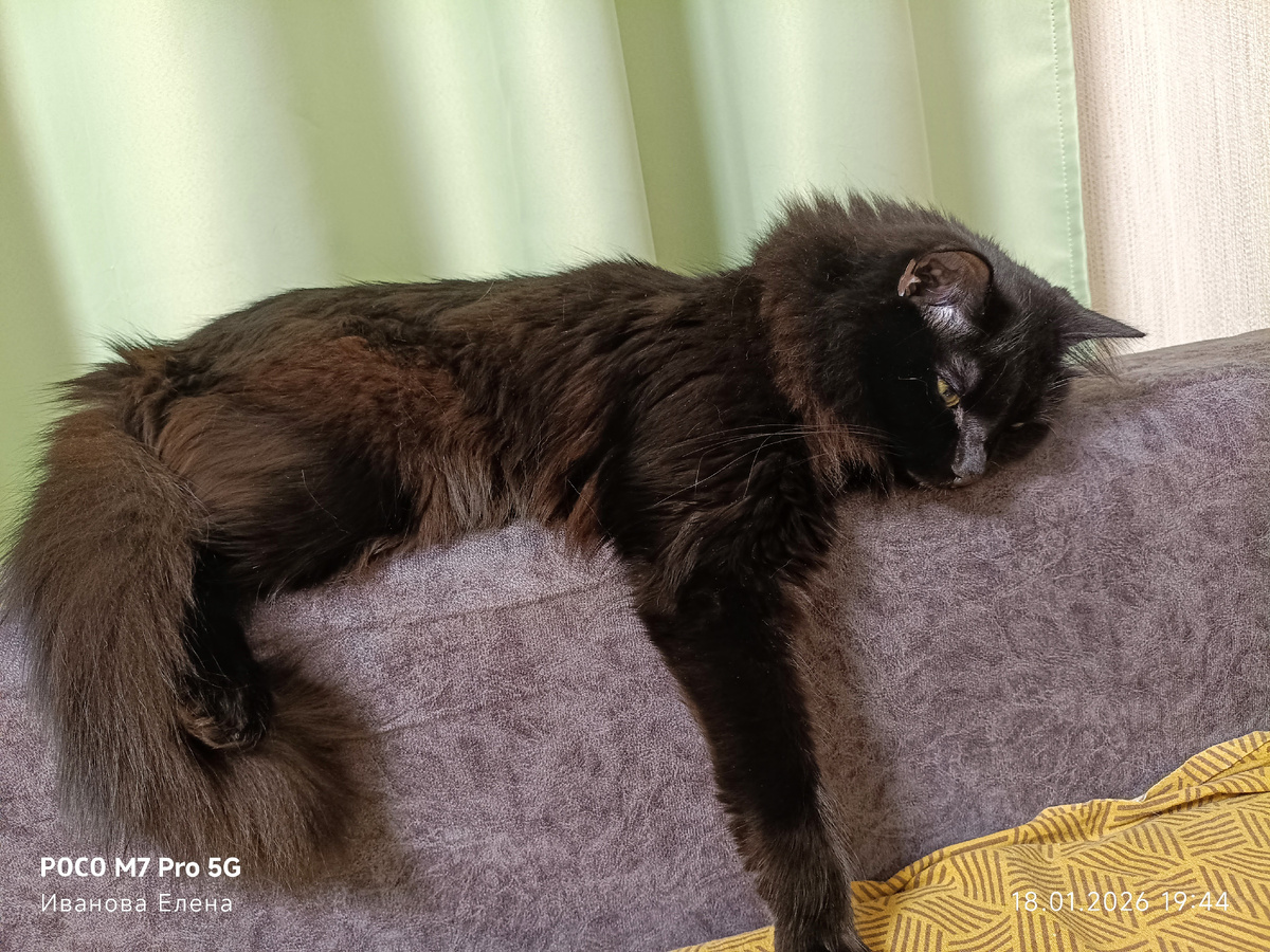 Все лежал...(голосом из фильма "Любовь и голуби")