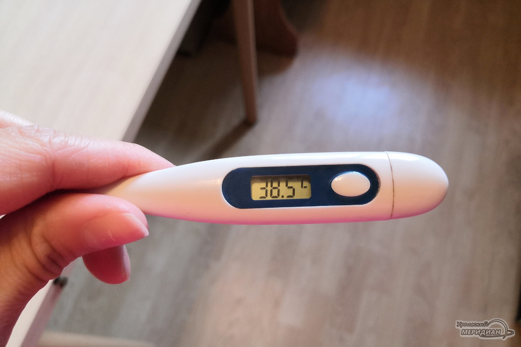    Фото Ксения Жигалова © ИА «Уральский меридиан»