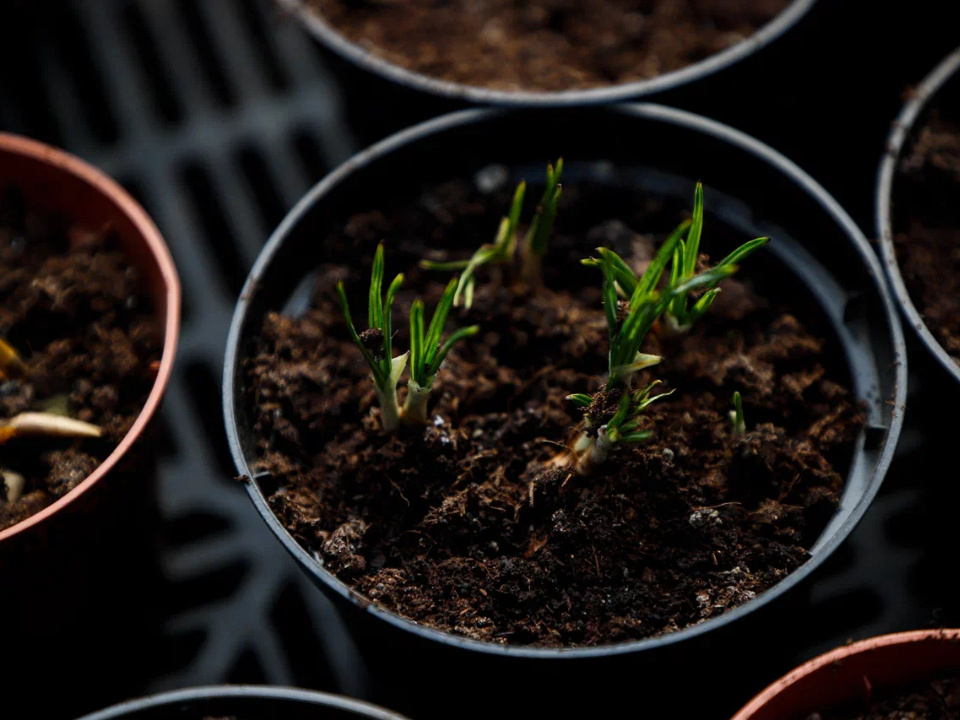     Фото: REGIONS/Наталия Надточая