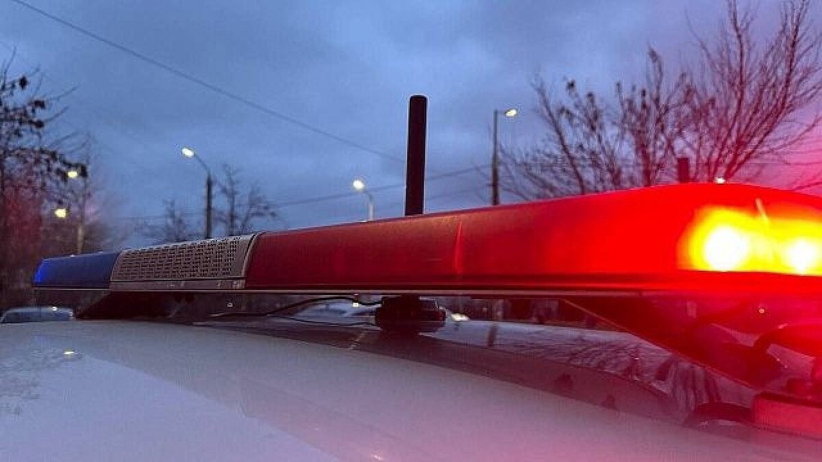    Фото: телеканал «Краснодар»