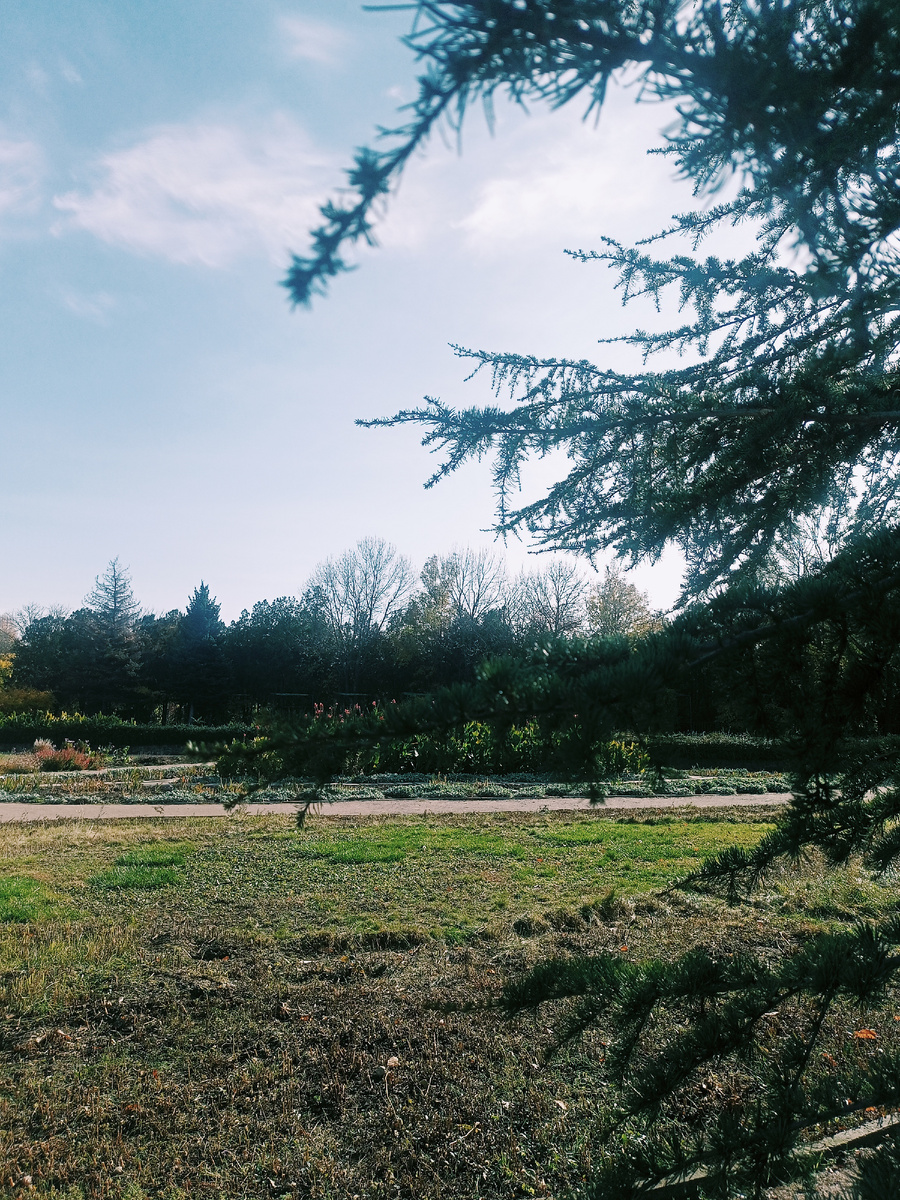 Фото автора. Ботанический сад, Симферополь.