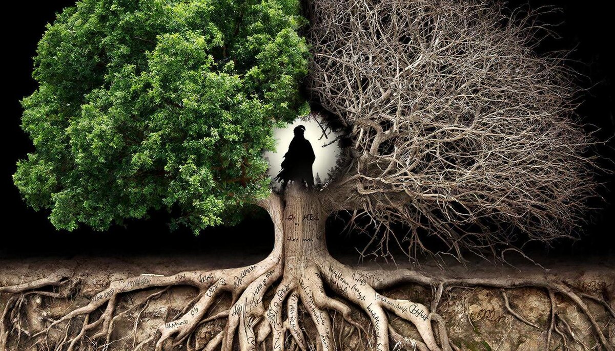 Что выбрать - решать тебе