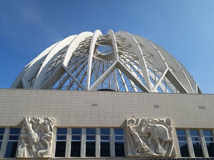     Цирк в Екатеринбурга. Фото: Николай Курилов / МК-Урал.
