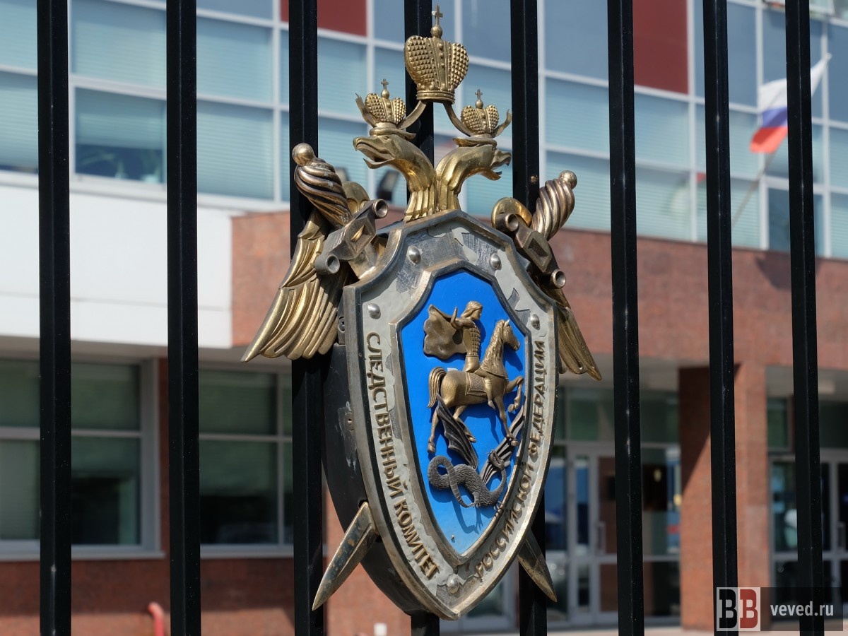     Фото: Владислав Постников / Вечерние ведомости