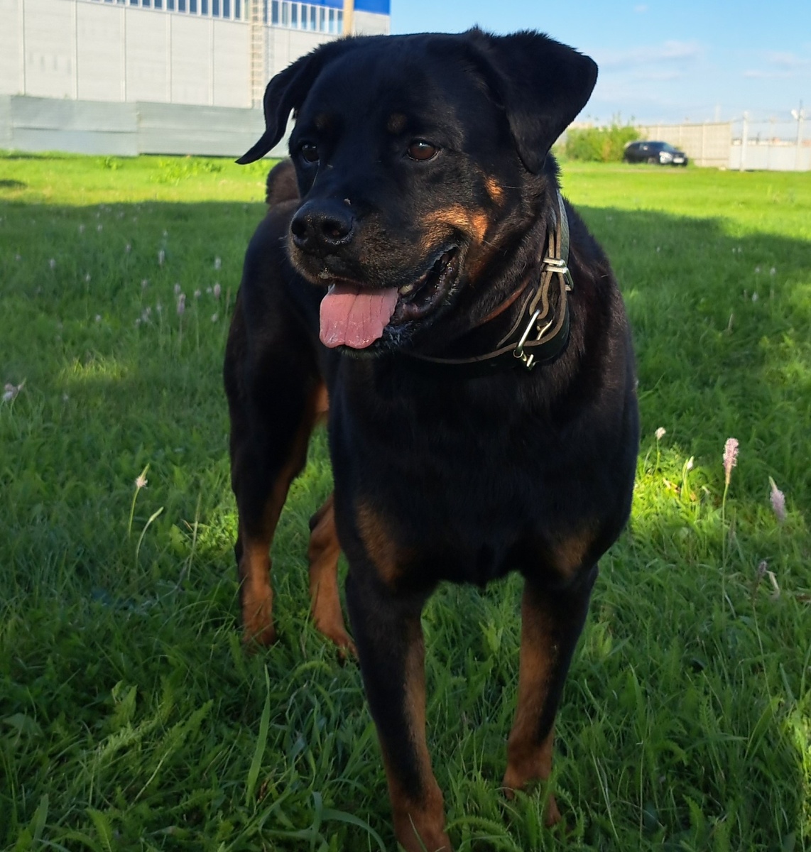 фото из личного архива