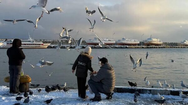    © Telegram-канал главы администрации Ялты Янины Павленко