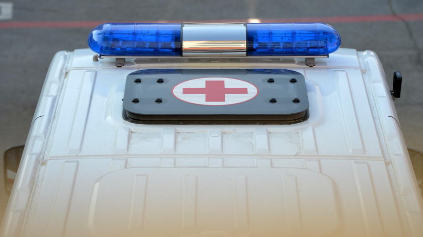    Фото: © РИА Новости/Павел Лисицын; 5-tv.ru