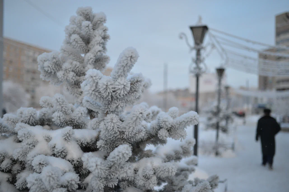 Фото: Олег Рукавицын/Царьград