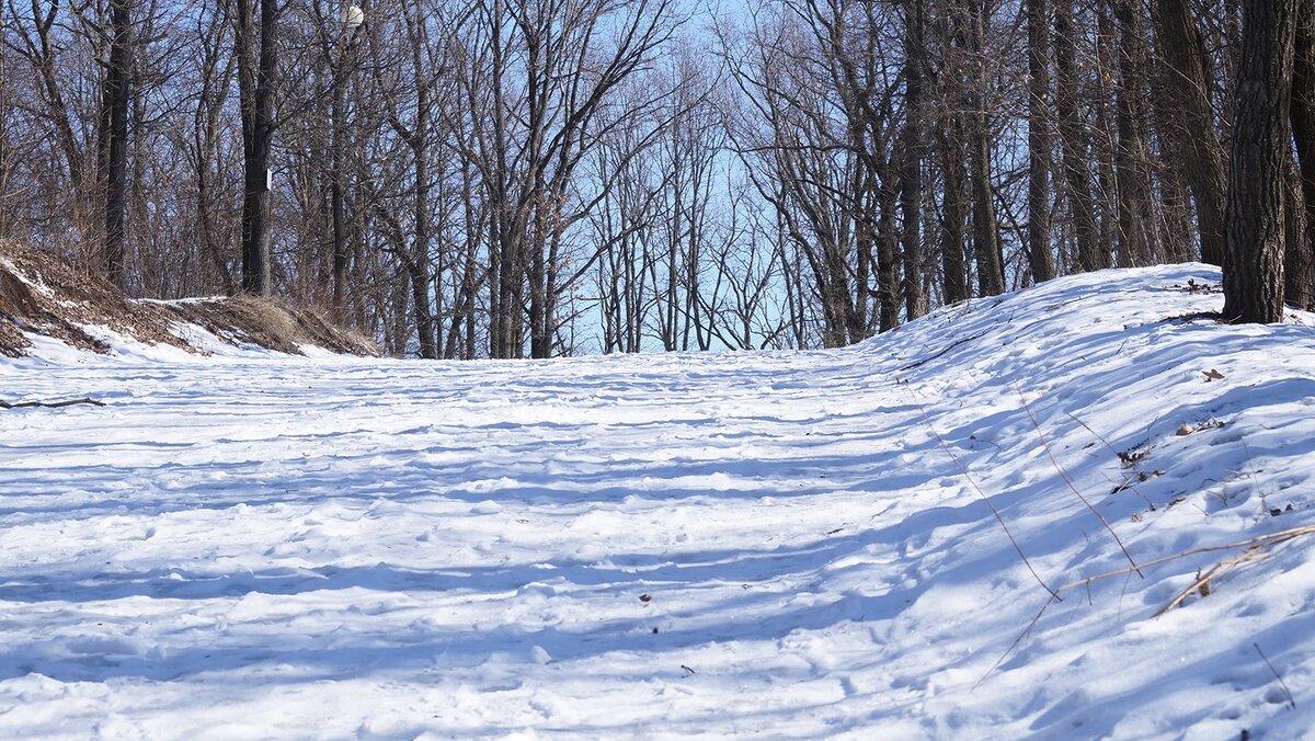    Фото: Сергей Егоров